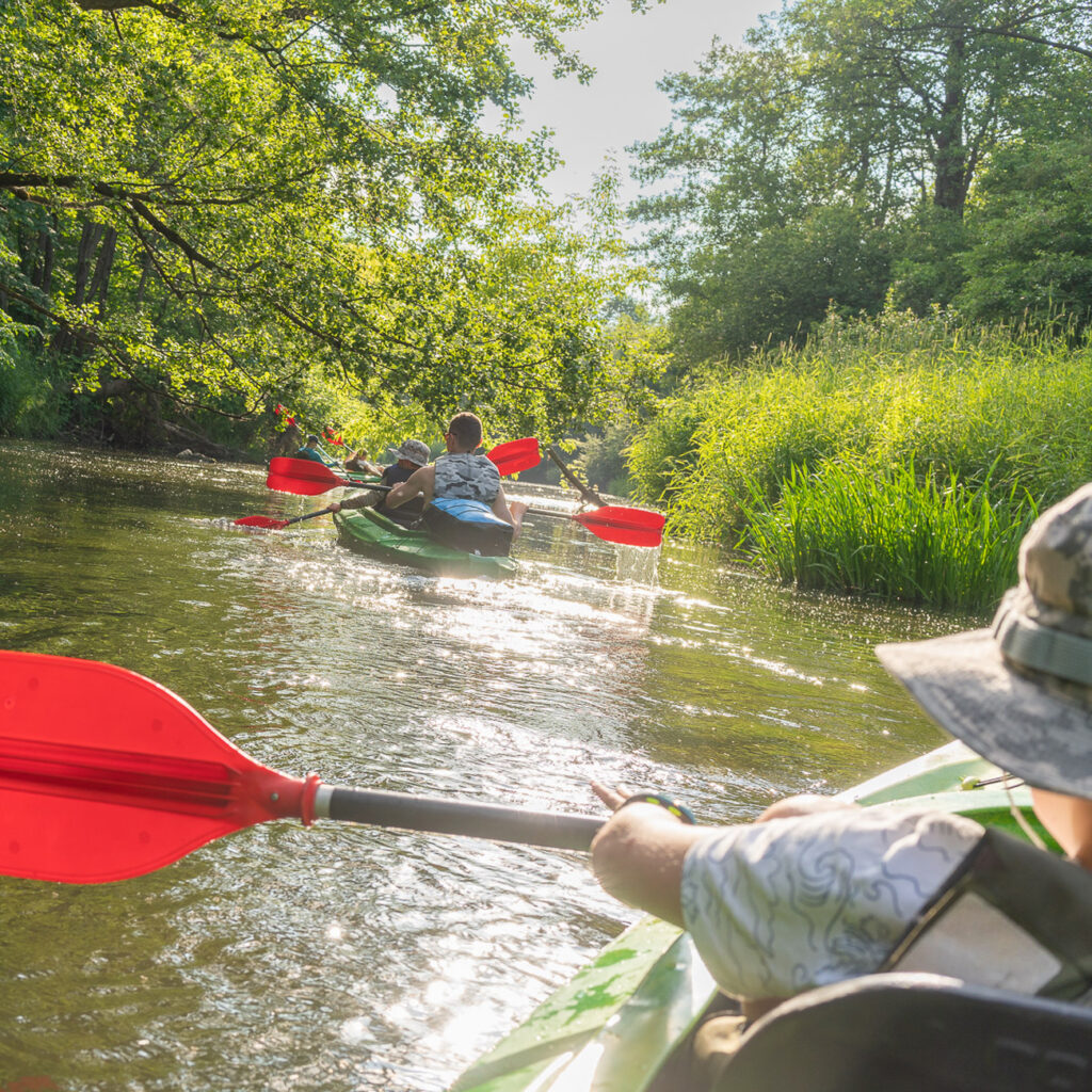 Aktywny weekend pod krakowem splyw kajakowy nida