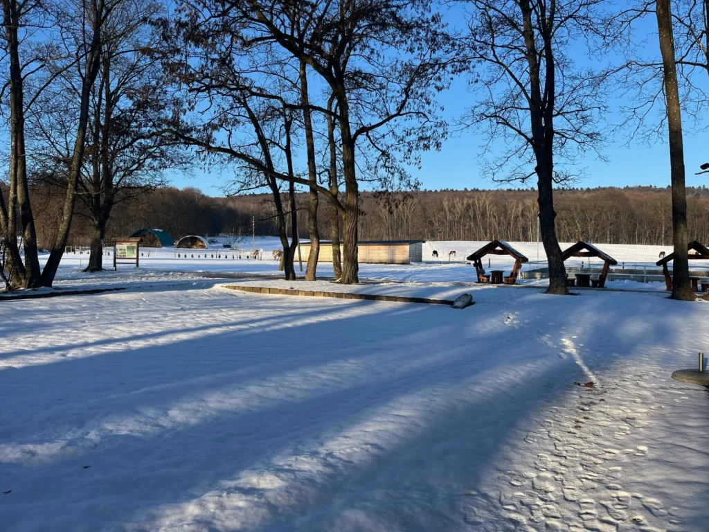 dworek sienkiewicza w oblegorku